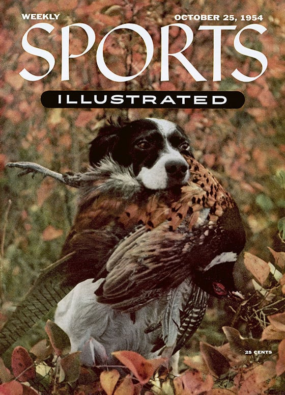 40815 - TOC Cover Image